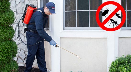 Elmalı Kemirgen İlaçlama böcek ilaçlama ve haşere kontrolü — ilaclama-tr.com